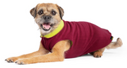 Gold Paw Double Fleece Garnet & Avocado Size 08