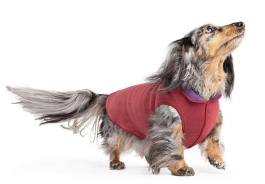 Gold Paw Double Fleece Red Velvet/Huckleberry Size 10