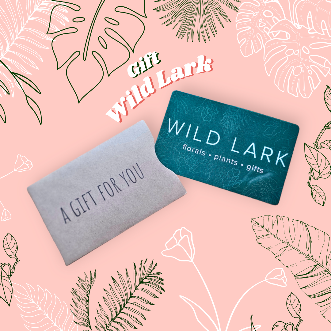 Wild Lark Gift Card
