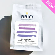 Guatemala Finca El Tarro