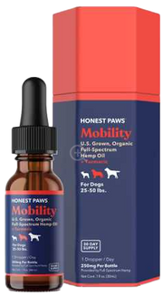 Honest Paws CBD Tincture Mobility Blend 250mg Dropper