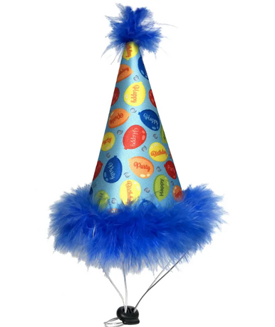 Huxley and Kent Party Hat Party Time Blue Large/XLarge