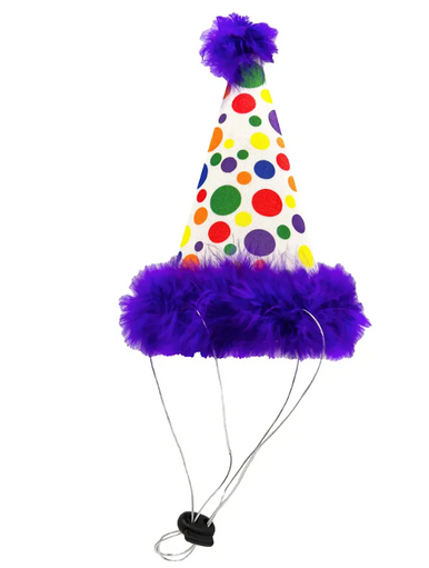 Huxley and Kent Party Hat Happy Barkday Large