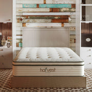 Harvest Green Pillow Top Mattress in Bedroom
