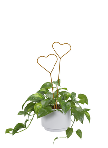 Decorative Heart Plant Stakes – Set of 6