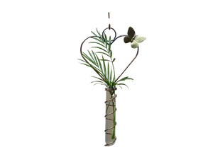 Heart Hanging Glass Tube Vase