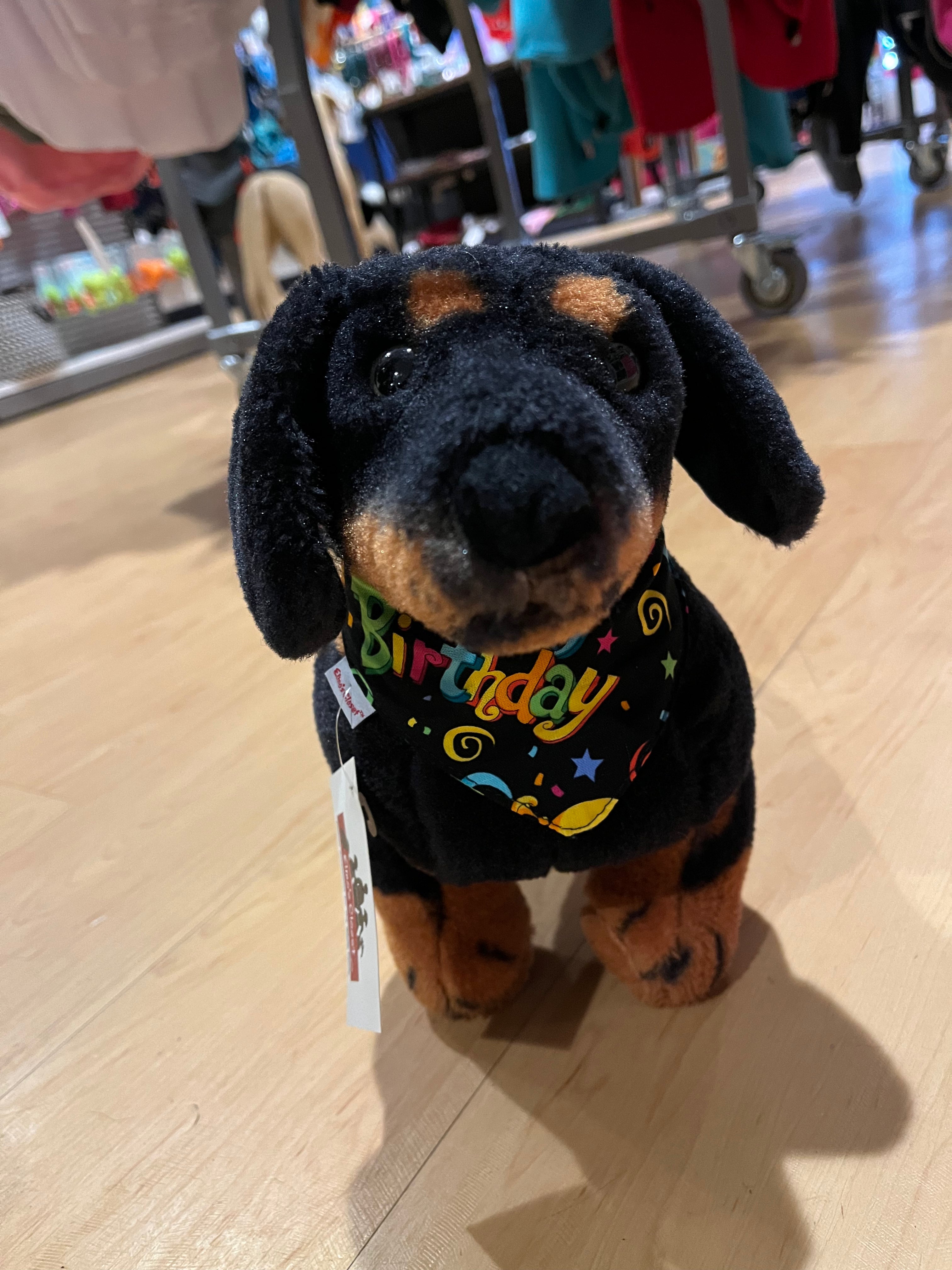 Elmo's Closet Birthday Celebration Pet Bandana