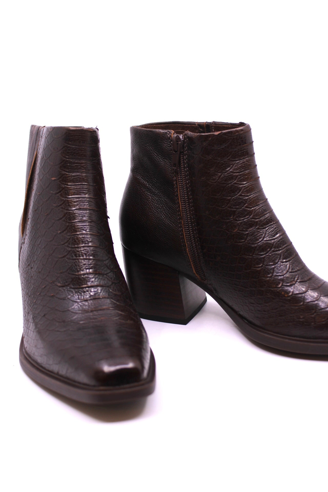 Born Aiken Brown in Snake by Dear Lucy