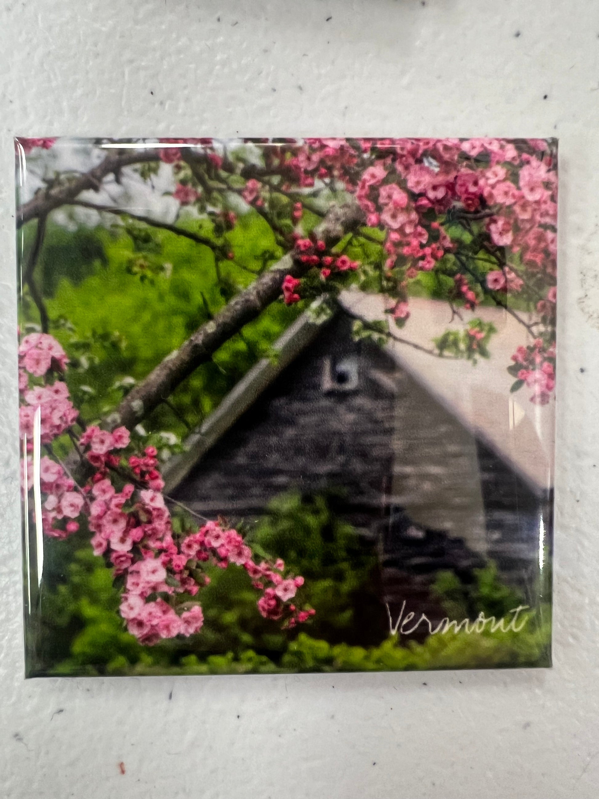 Moments by Kate - Magnets by SidePony Boutique