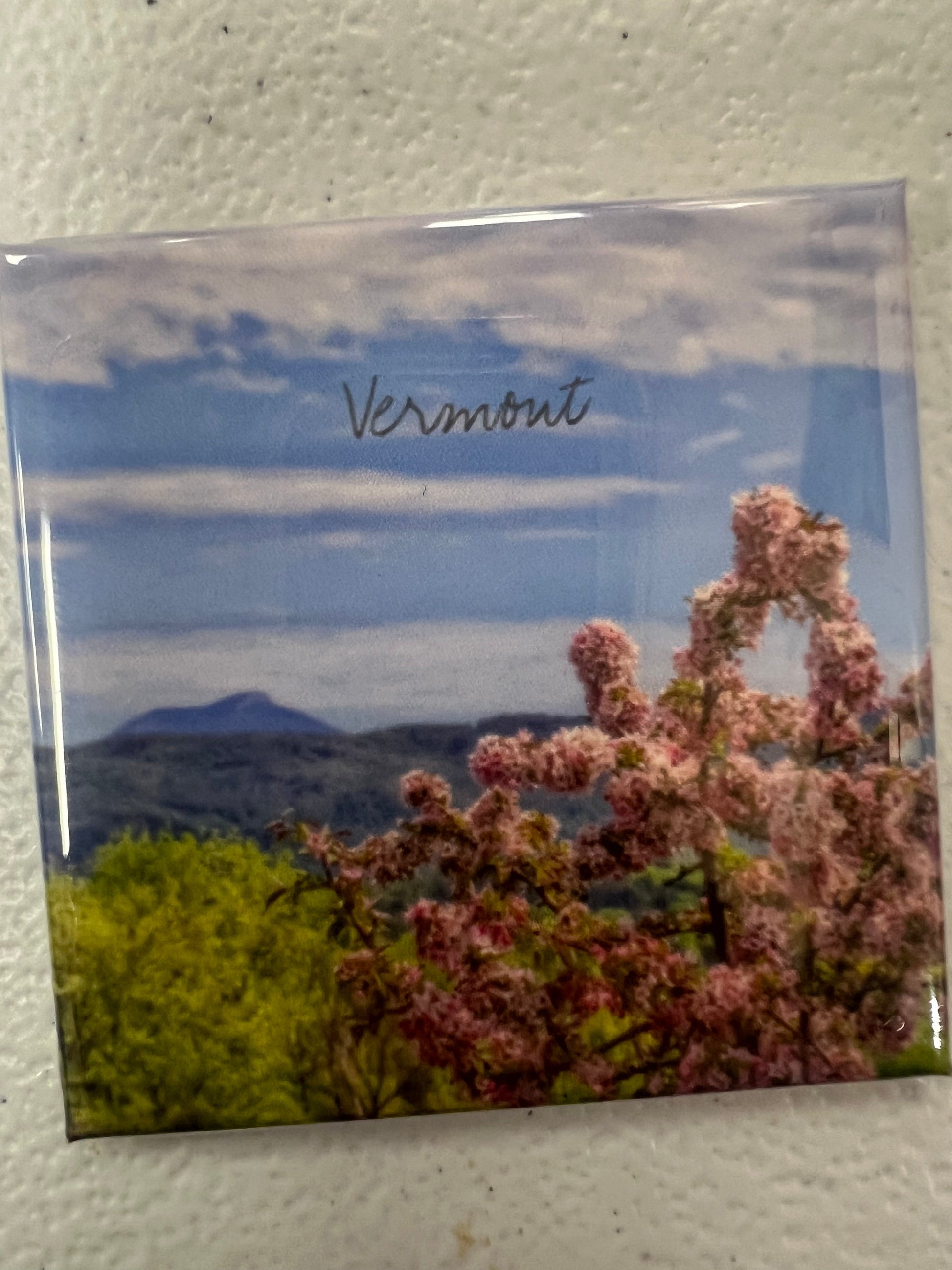 Moments by Kate - Magnets by SidePony Boutique