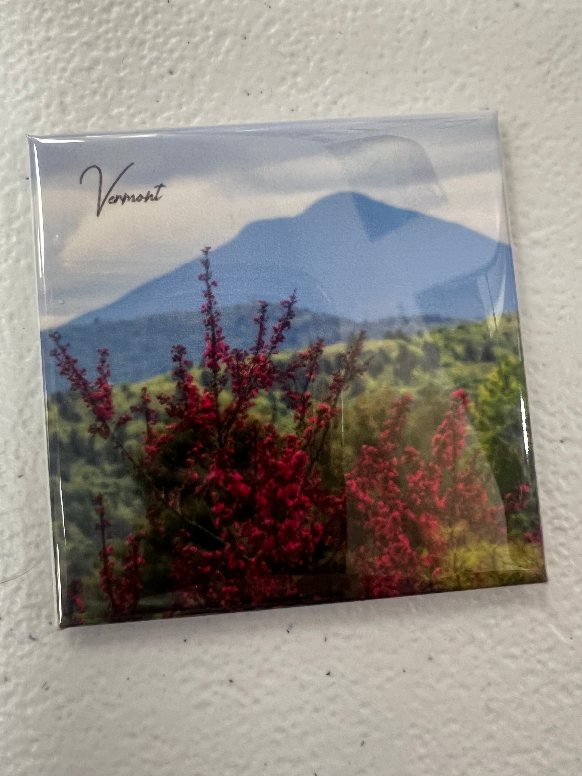 Moments by Kate - Magnets by SidePony Boutique