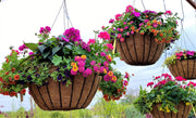 Combo Hanging Basket