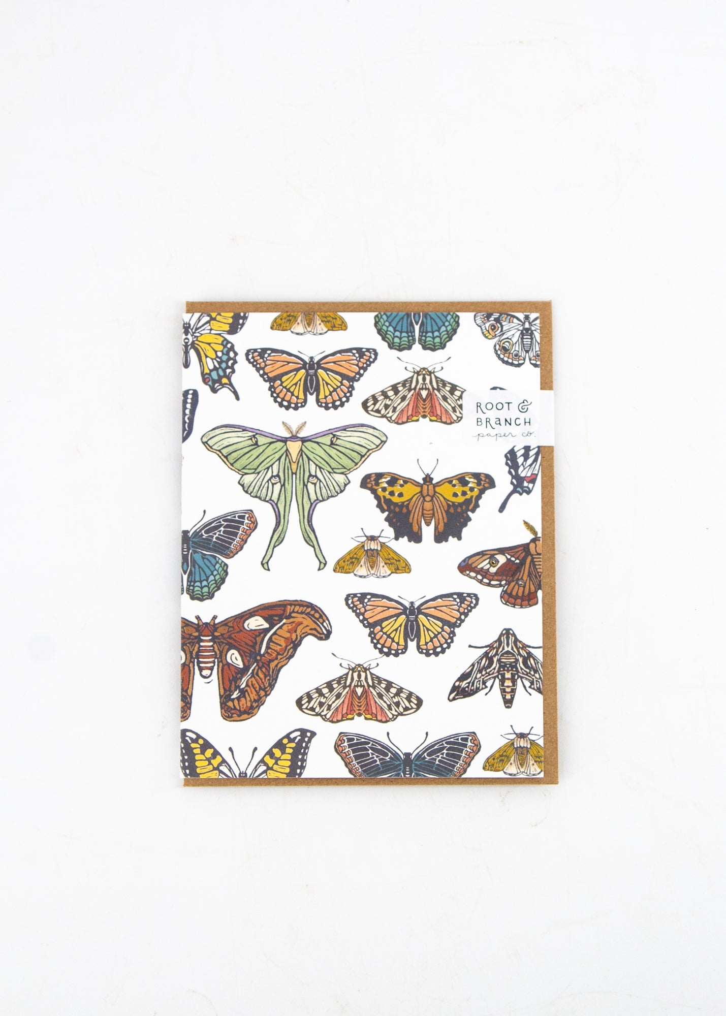 Butterflies and Moths Blank Card