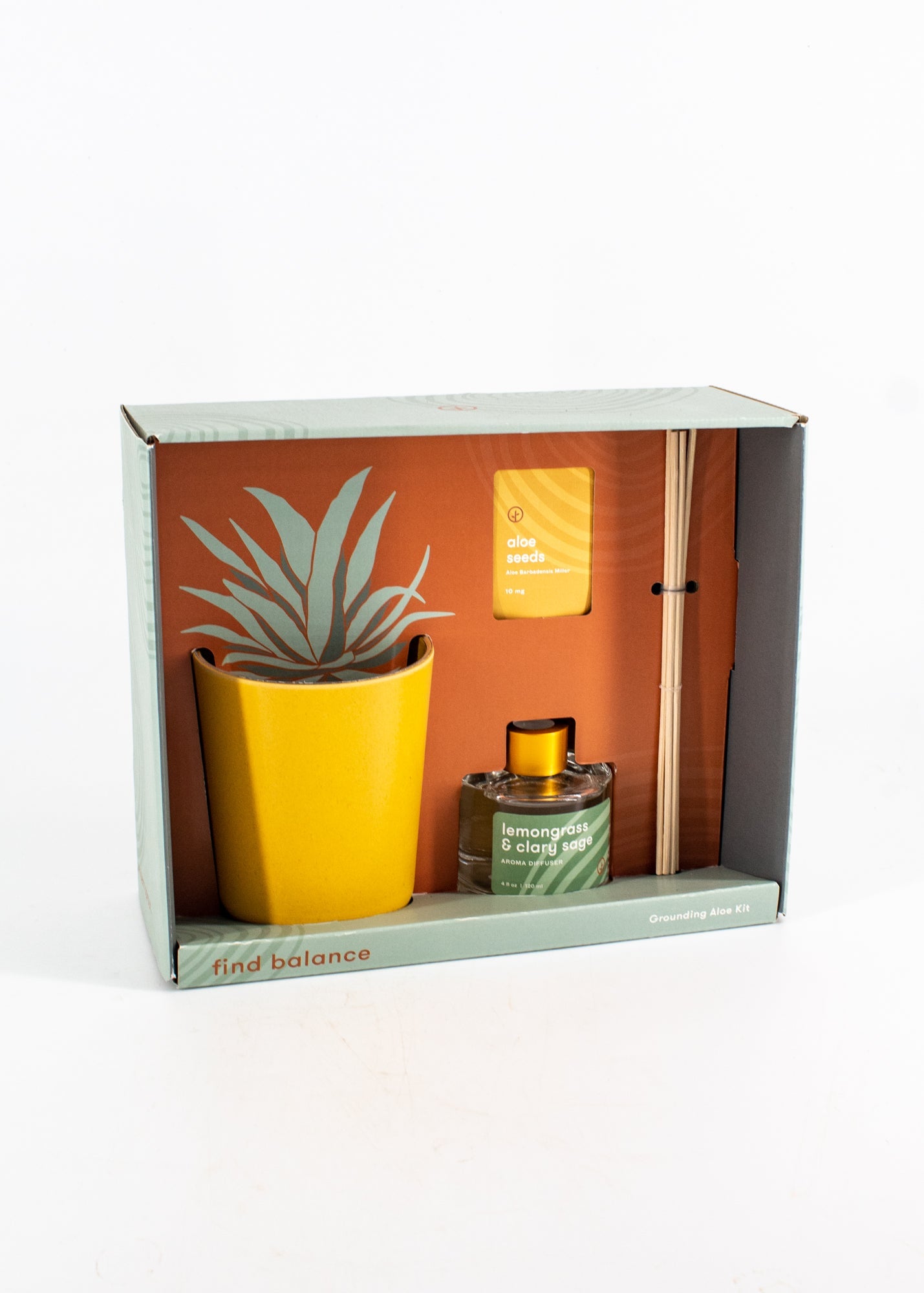 SALE! Find Balance: Grounding Aloe Growing Kit