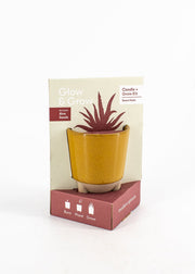 Glow & Grow: Candle Grow Kit