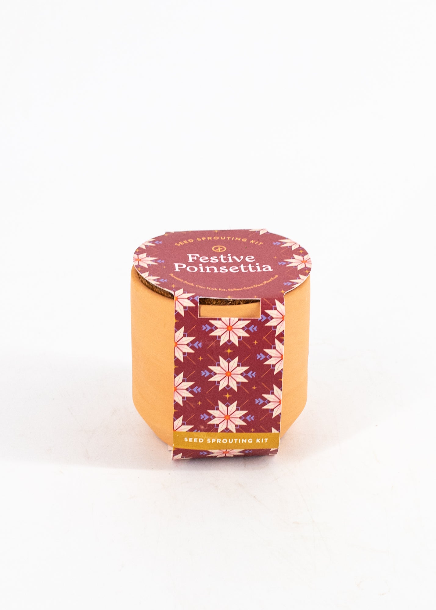Festive Poinsettia Seed-Sprouting Kit by Wild Lark