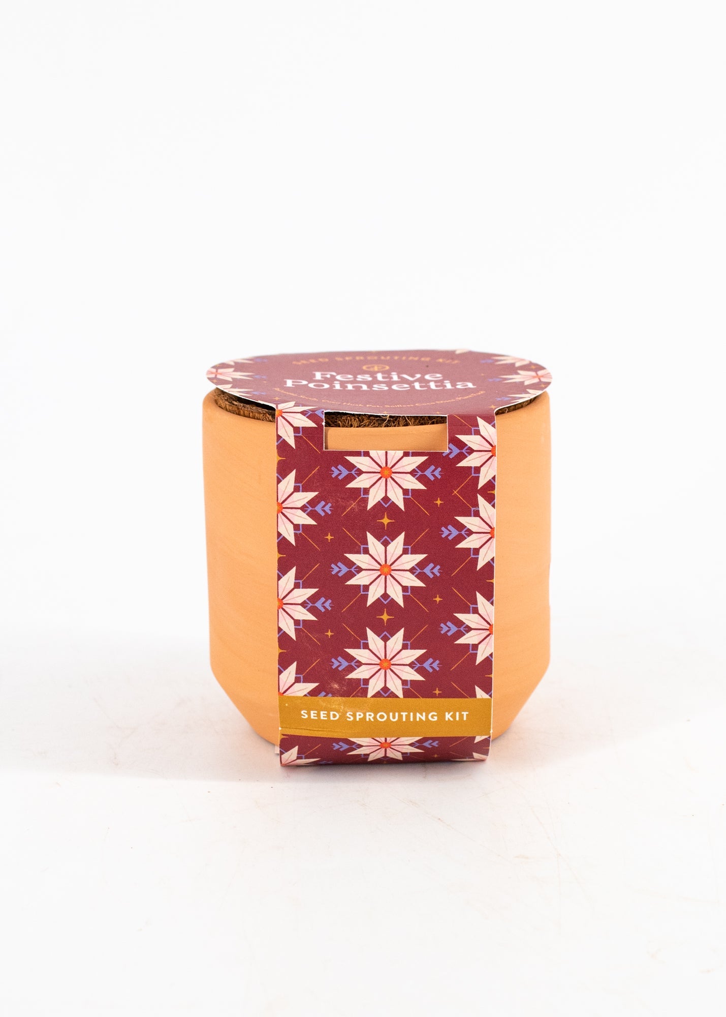 Festive Poinsettia Seed-Sprouting Kit by Wild Lark
