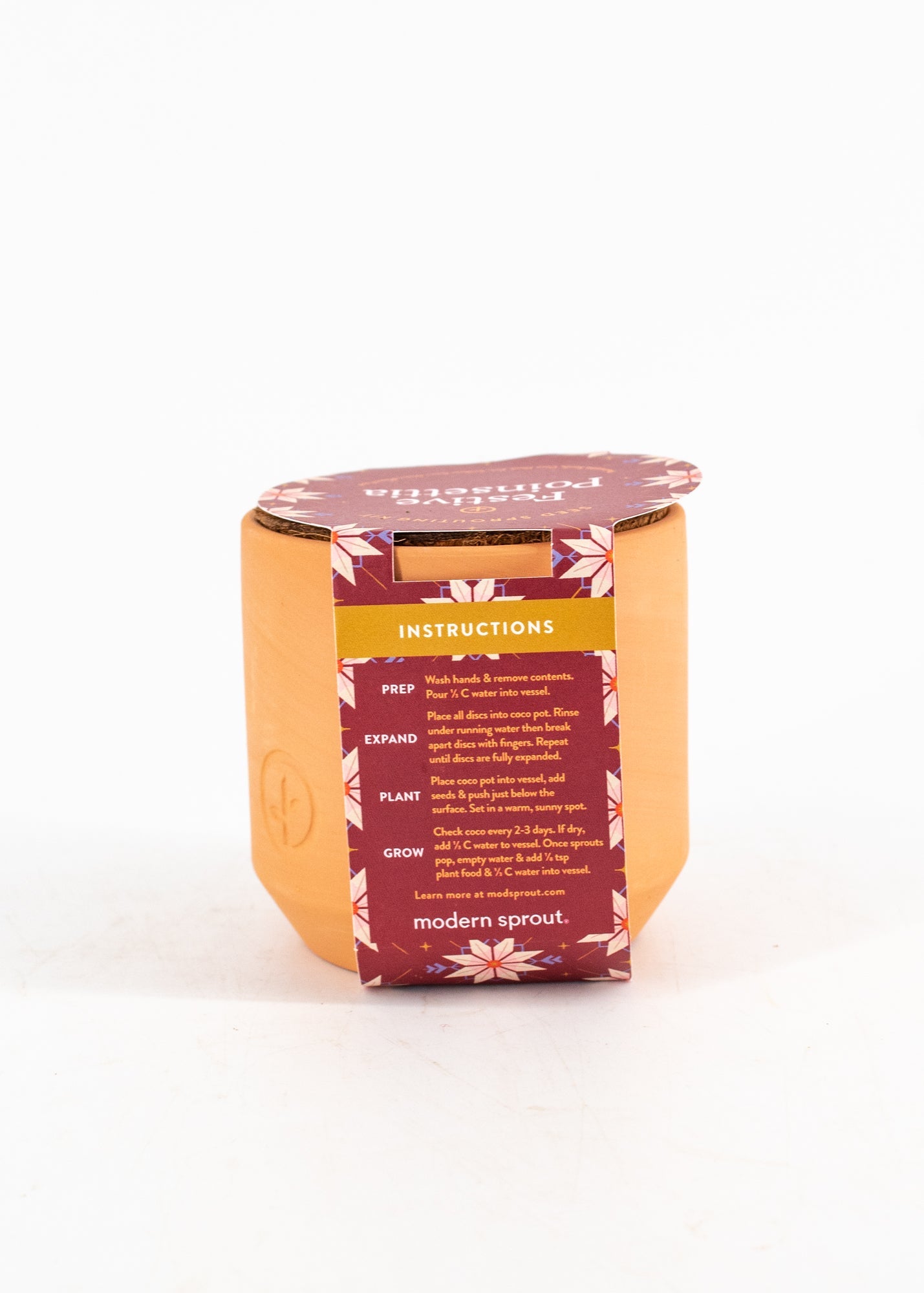 Festive Poinsettia Seed-Sprouting Kit by Wild Lark