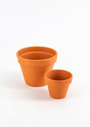 Classic Terra Cotta Pots