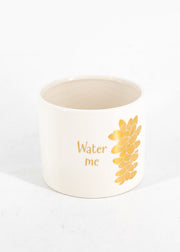 "Water Me" White Pot