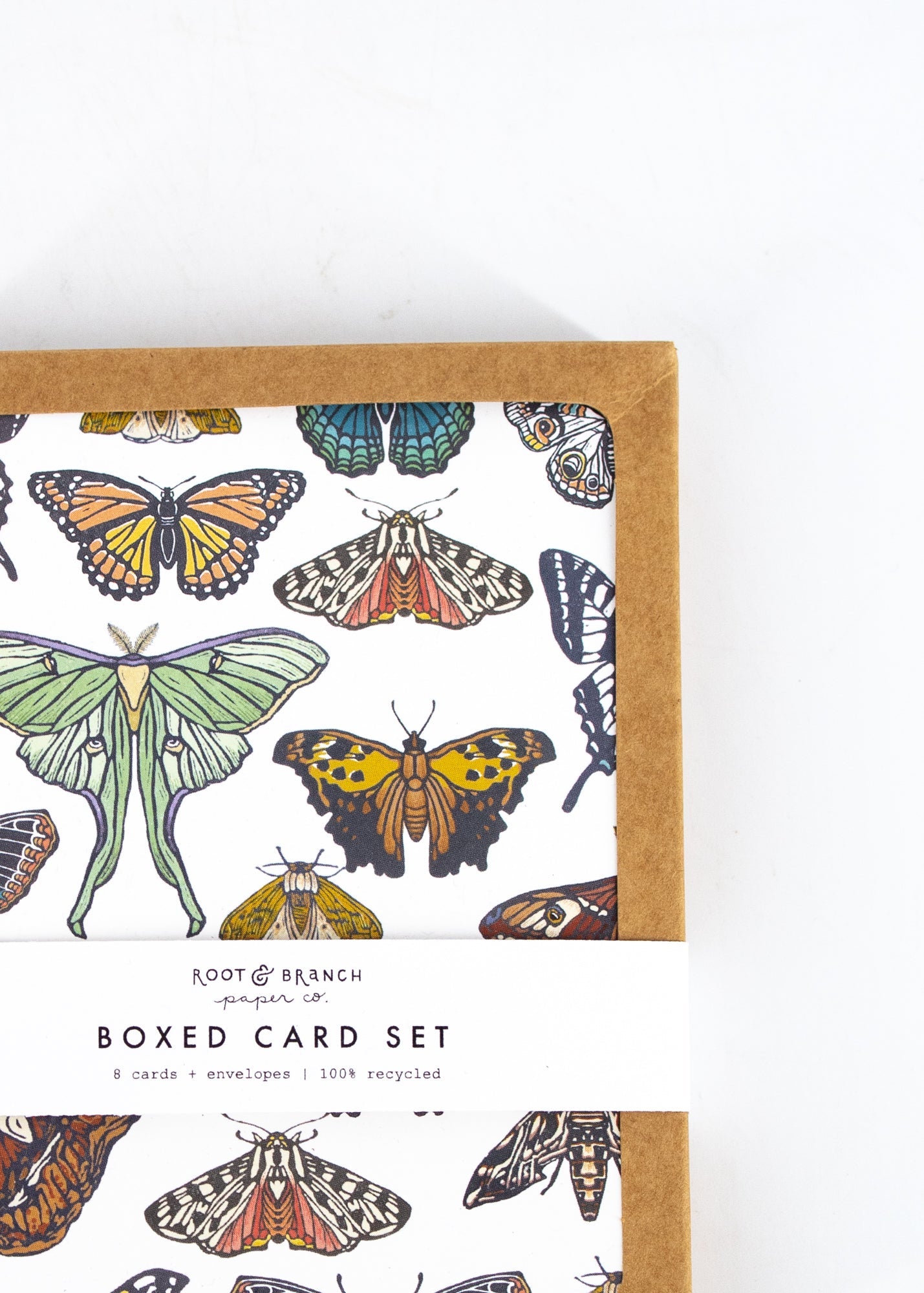 Butterflies and Moths Boxed Card Set
