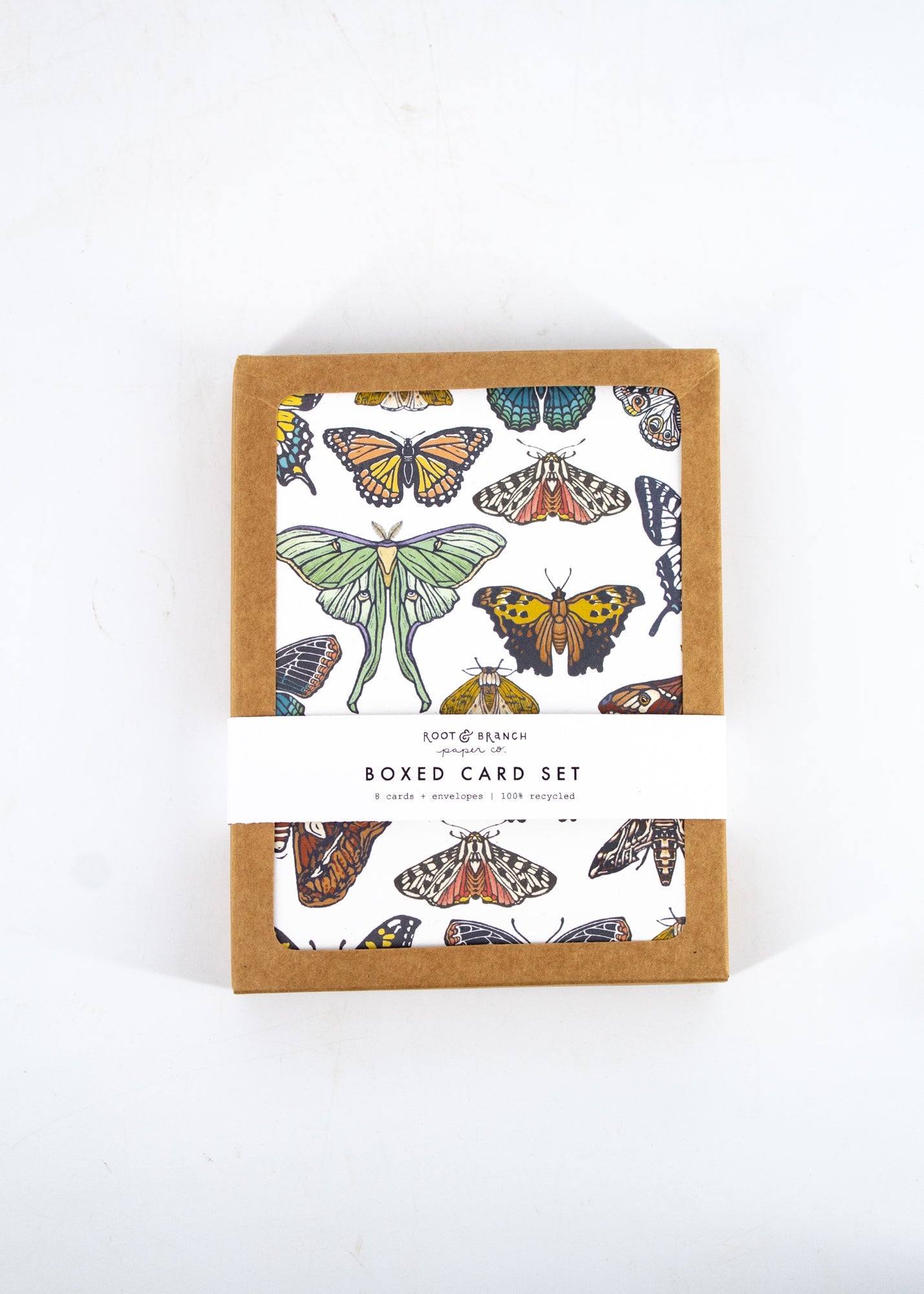 Butterflies and Moths Boxed Card Set