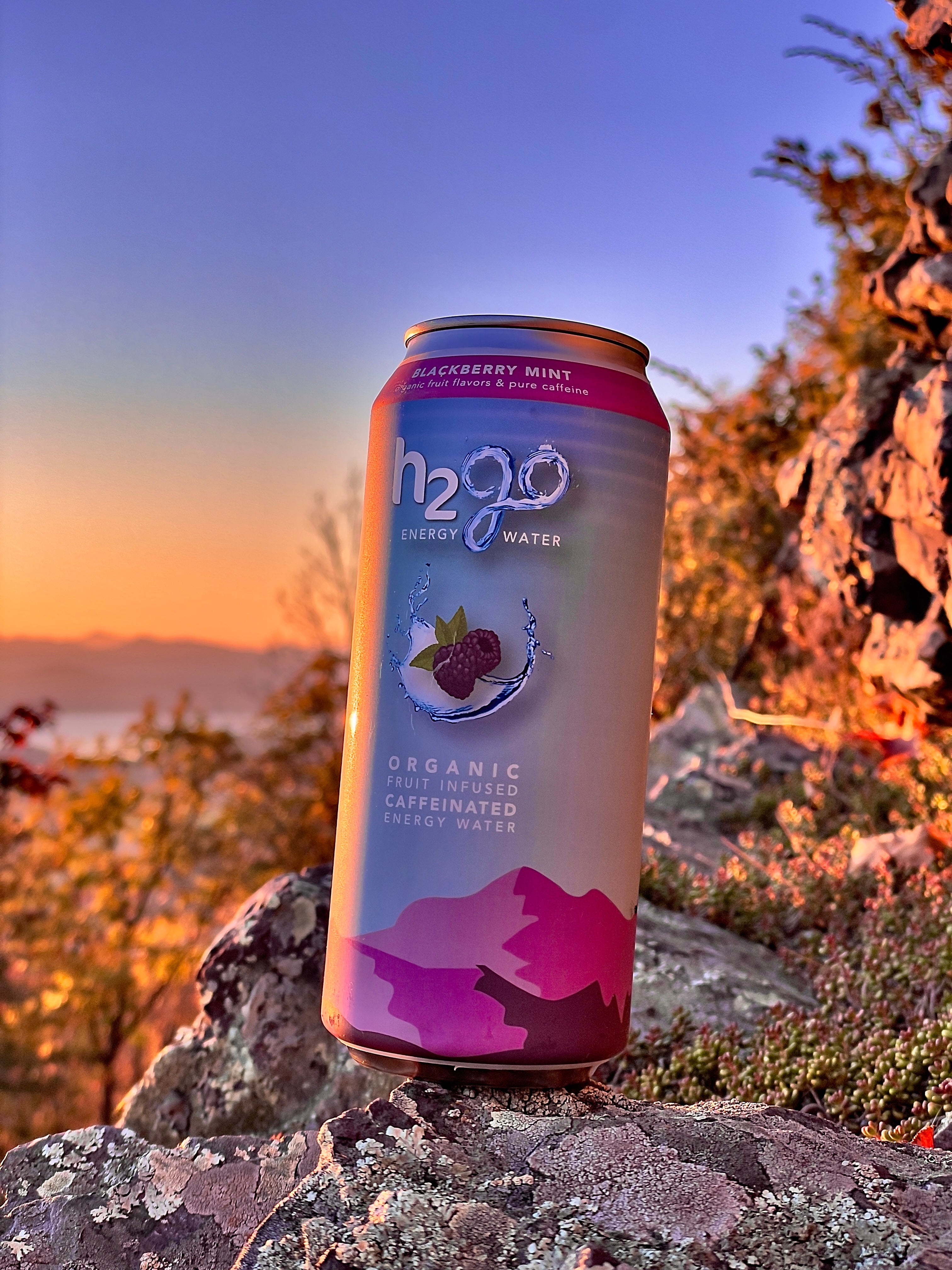 Blackberry Mint 12 Pack by h2go Energy Water