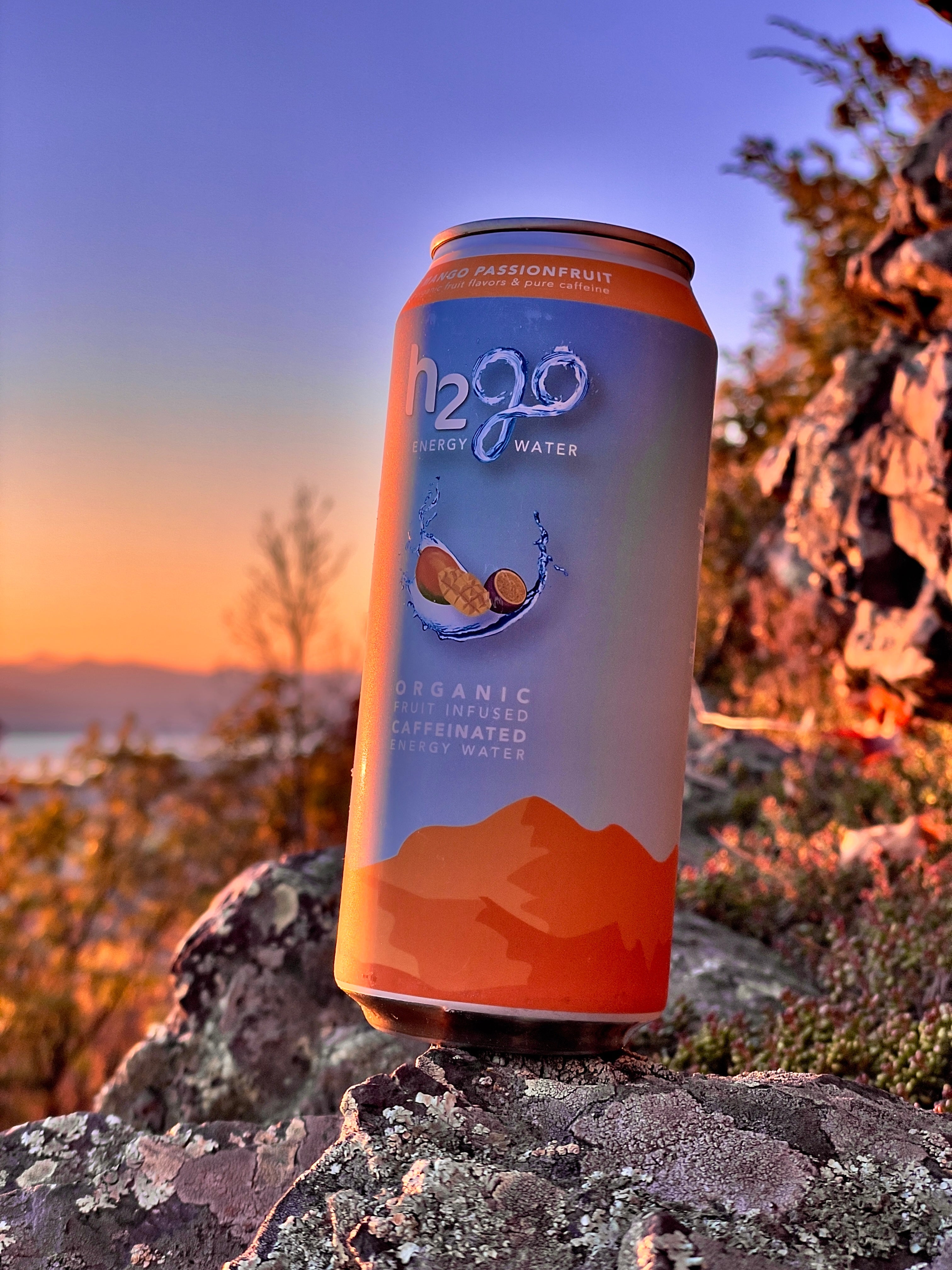 Mango Passionfruit 12 Pack by h2go Energy Water