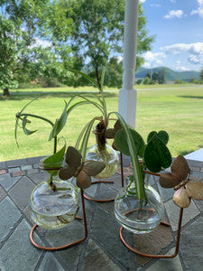 Standing Globe Vase