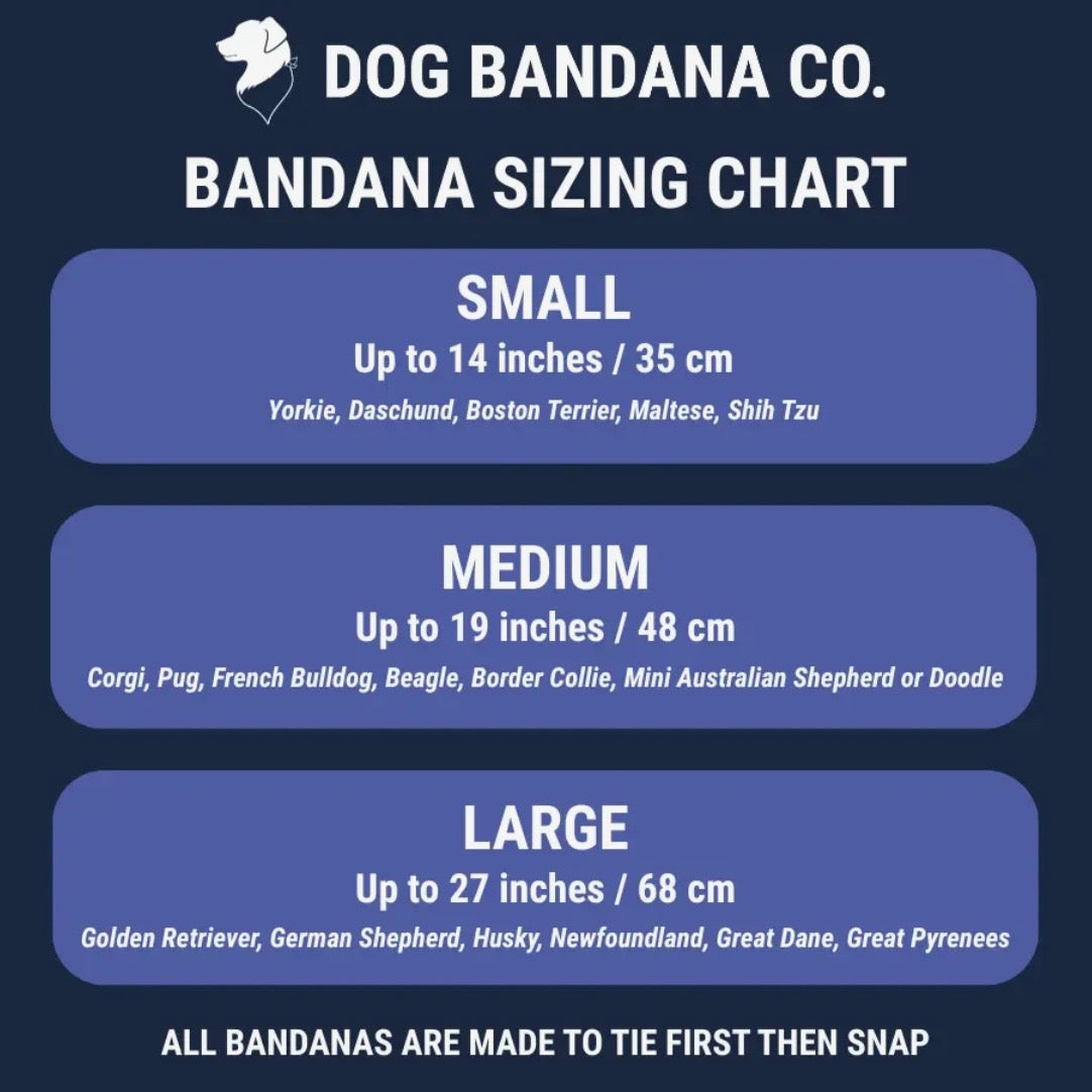Dog Bandana Co Cheers and Beers Reversible Bandana