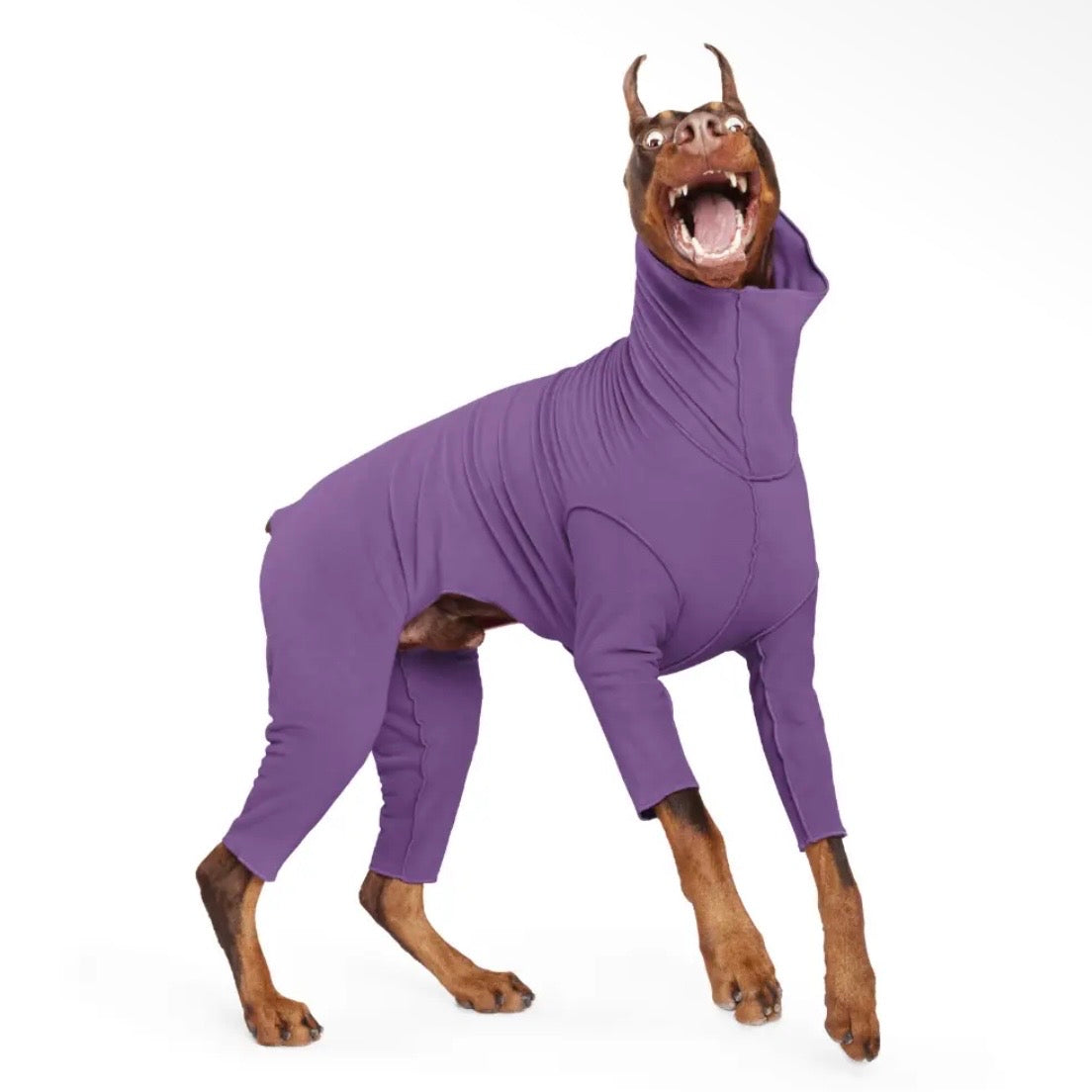 GoldPaw Signature Suit