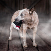 PLAY Halloween Barky's Bite
