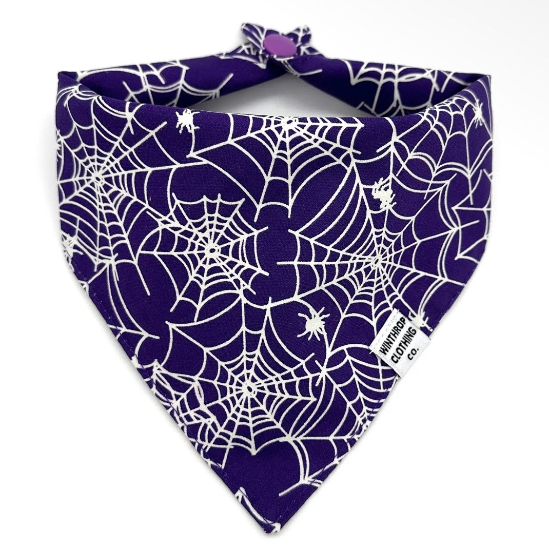 Winthrop Clothing Co. Glow in the Dark Spider Web Dog Bandana