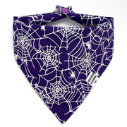Winthrop Clothing Co. Glow in the Dark Spider Web Dog Bandana