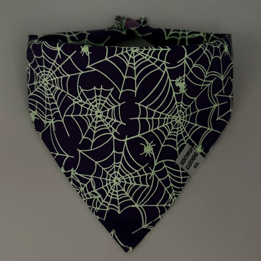 Winthrop Clothing Co. Glow in the Dark Spider Web Dog Bandana