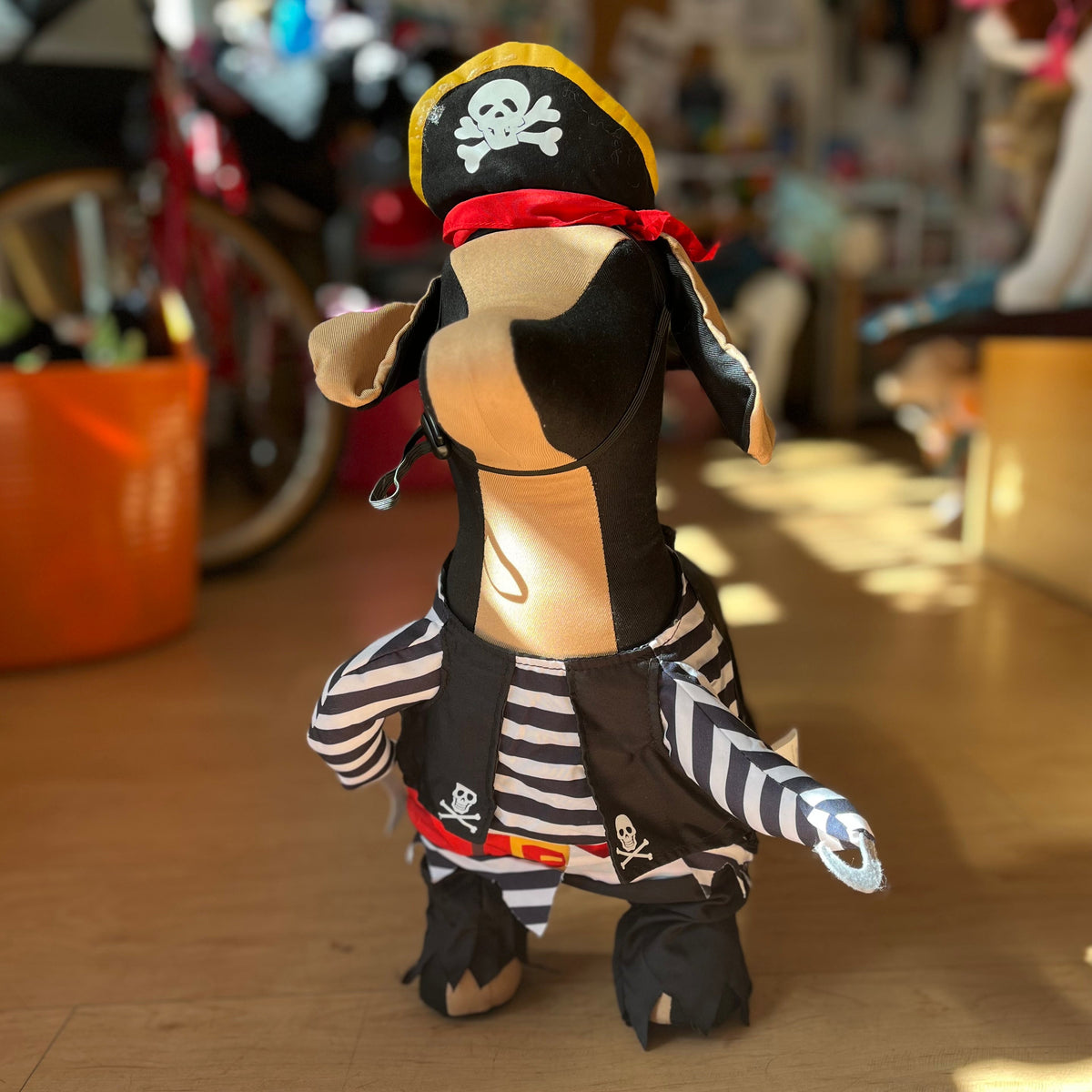 Pet Krewe Pirate Costume