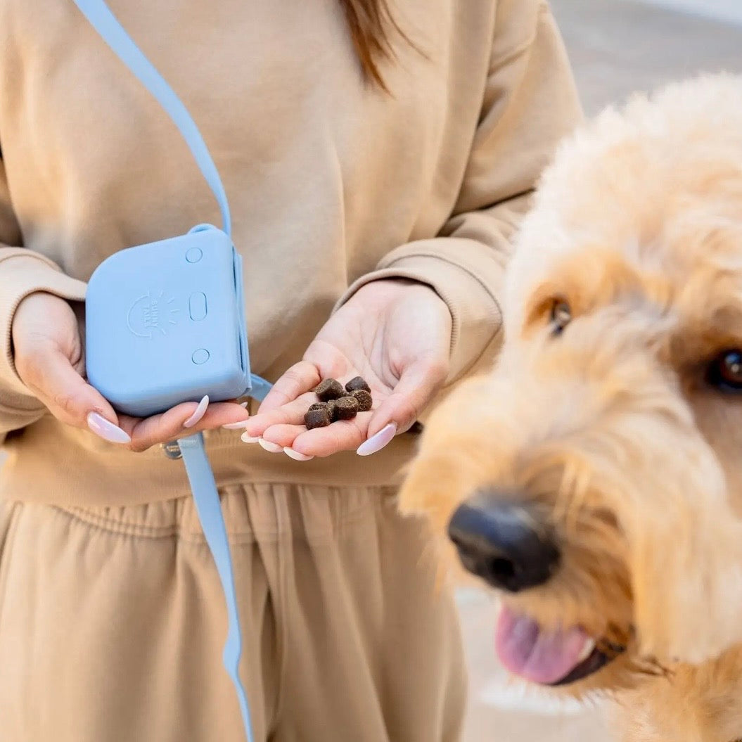Sunny Tails Snap Dog Treat Pouch