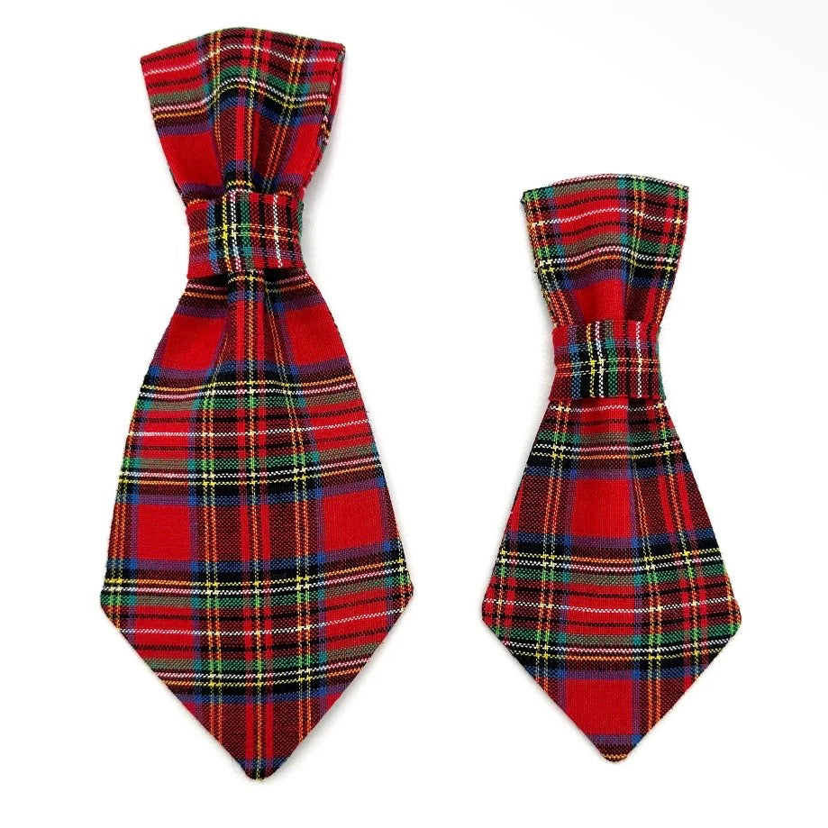 Winthrop Clothing Co. Duncan Plaid Dog Tie