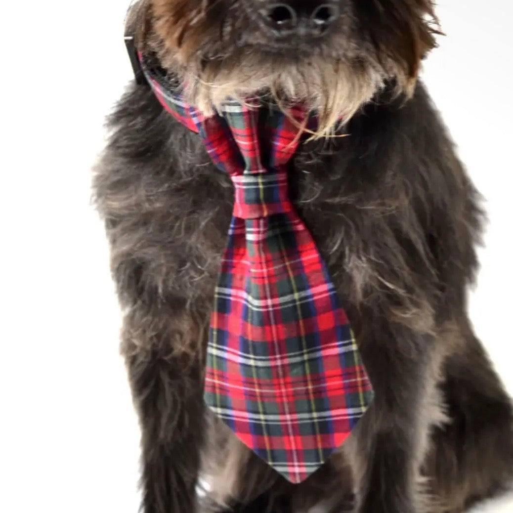 Winthrop Clothing Co. Duncan Plaid Dog Tie