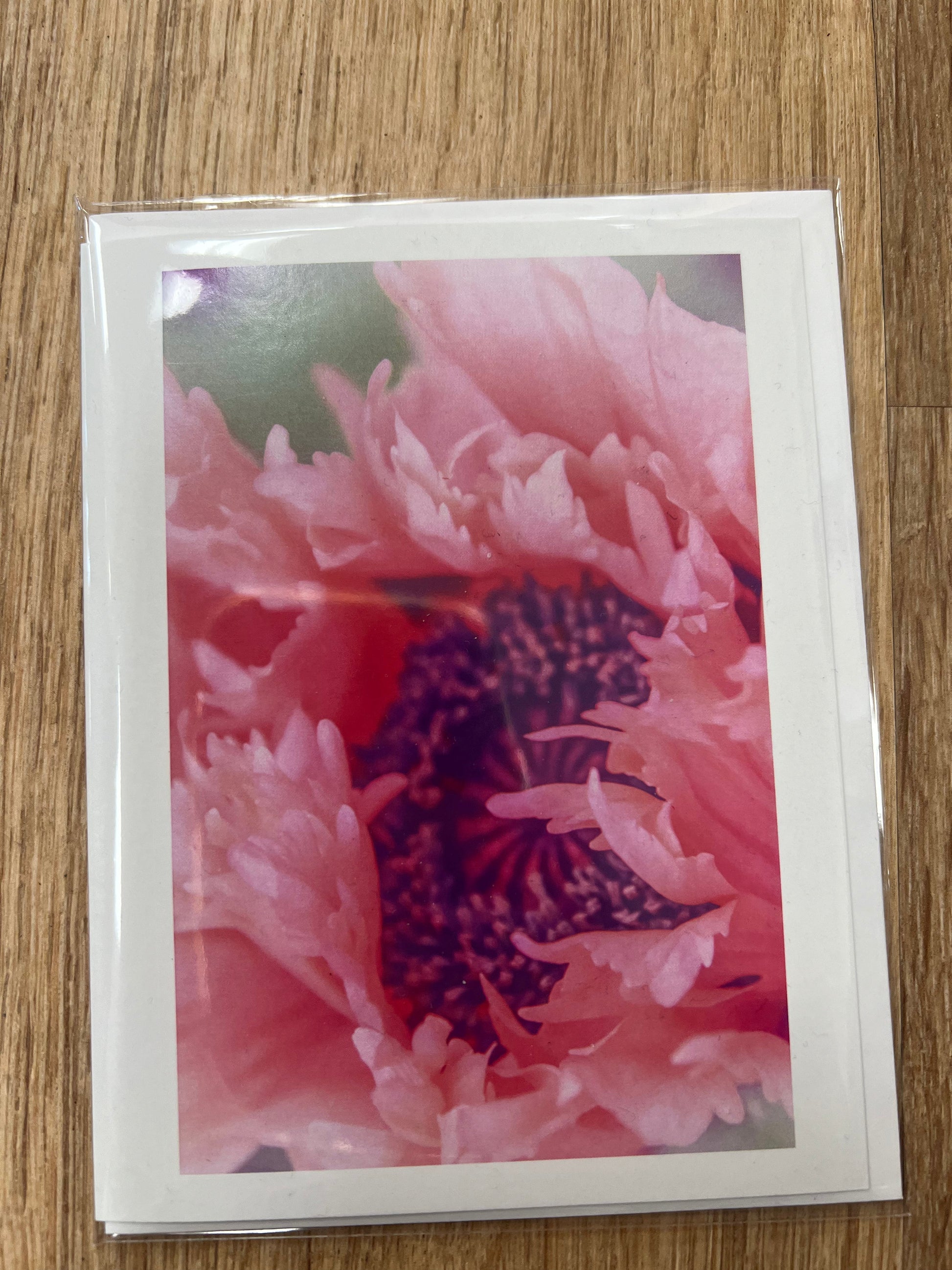Greeting Cards -Moments By Kate by SidePony Boutique