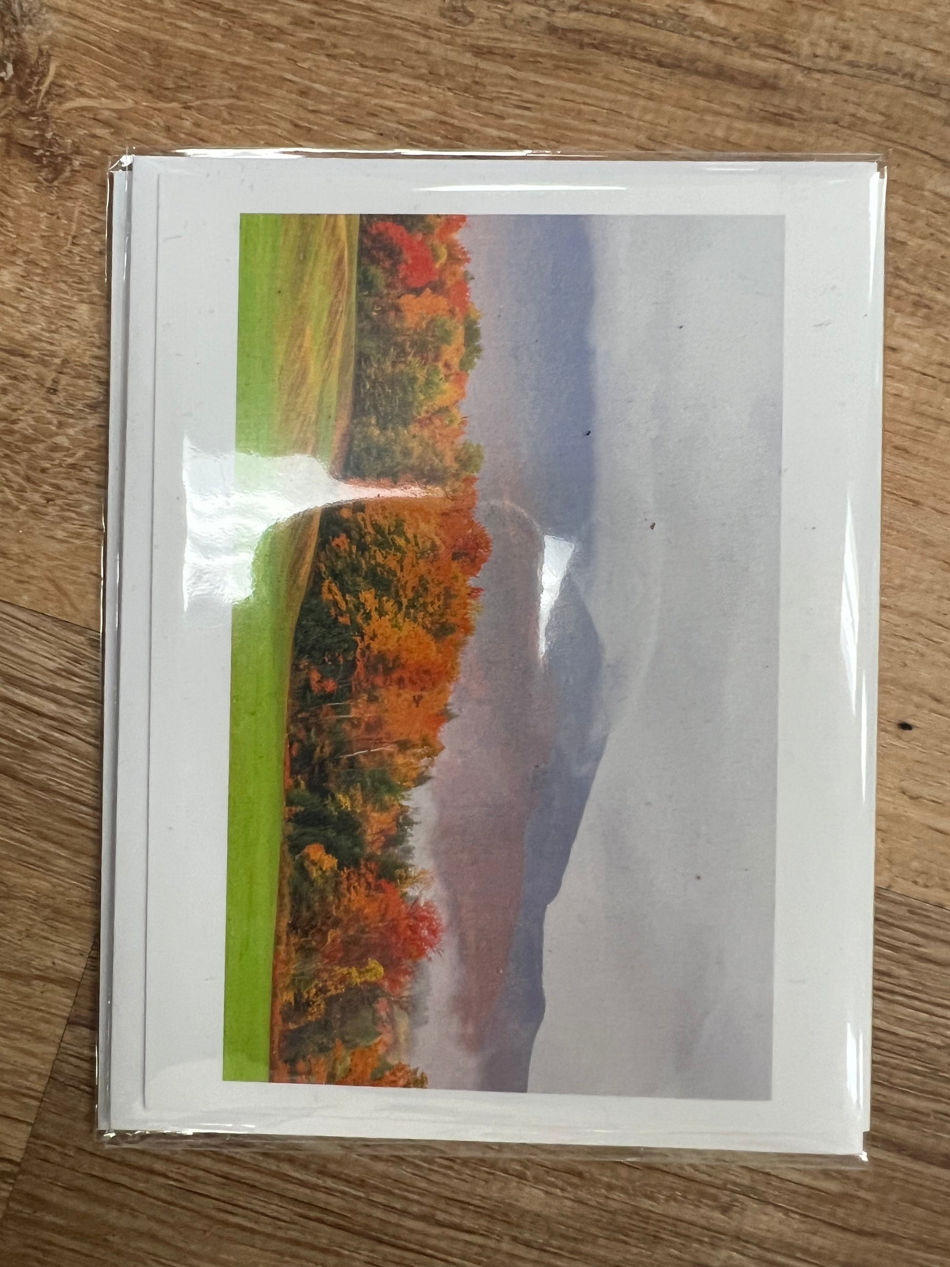 Greeting Cards -Moments By Kate by SidePony Boutique