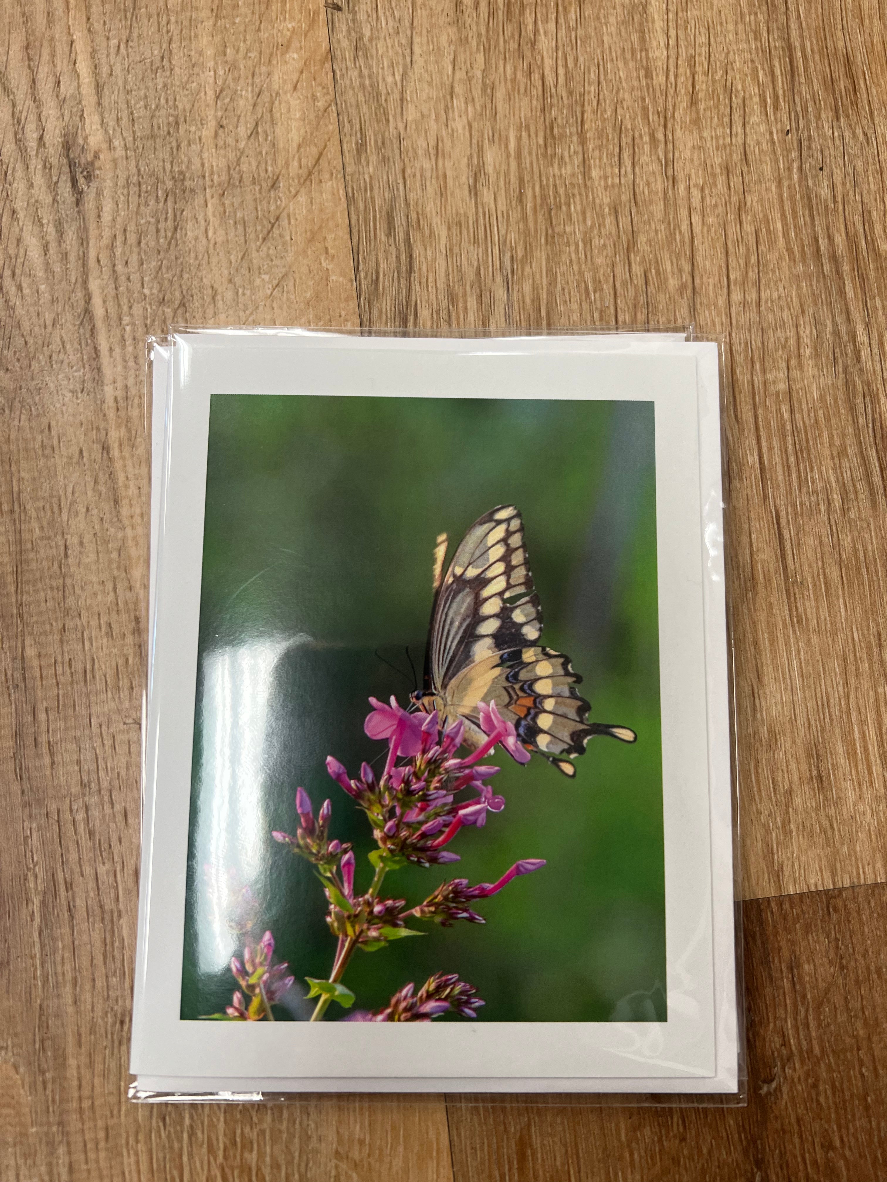 Greeting Cards -Moments By Kate by SidePony Boutique