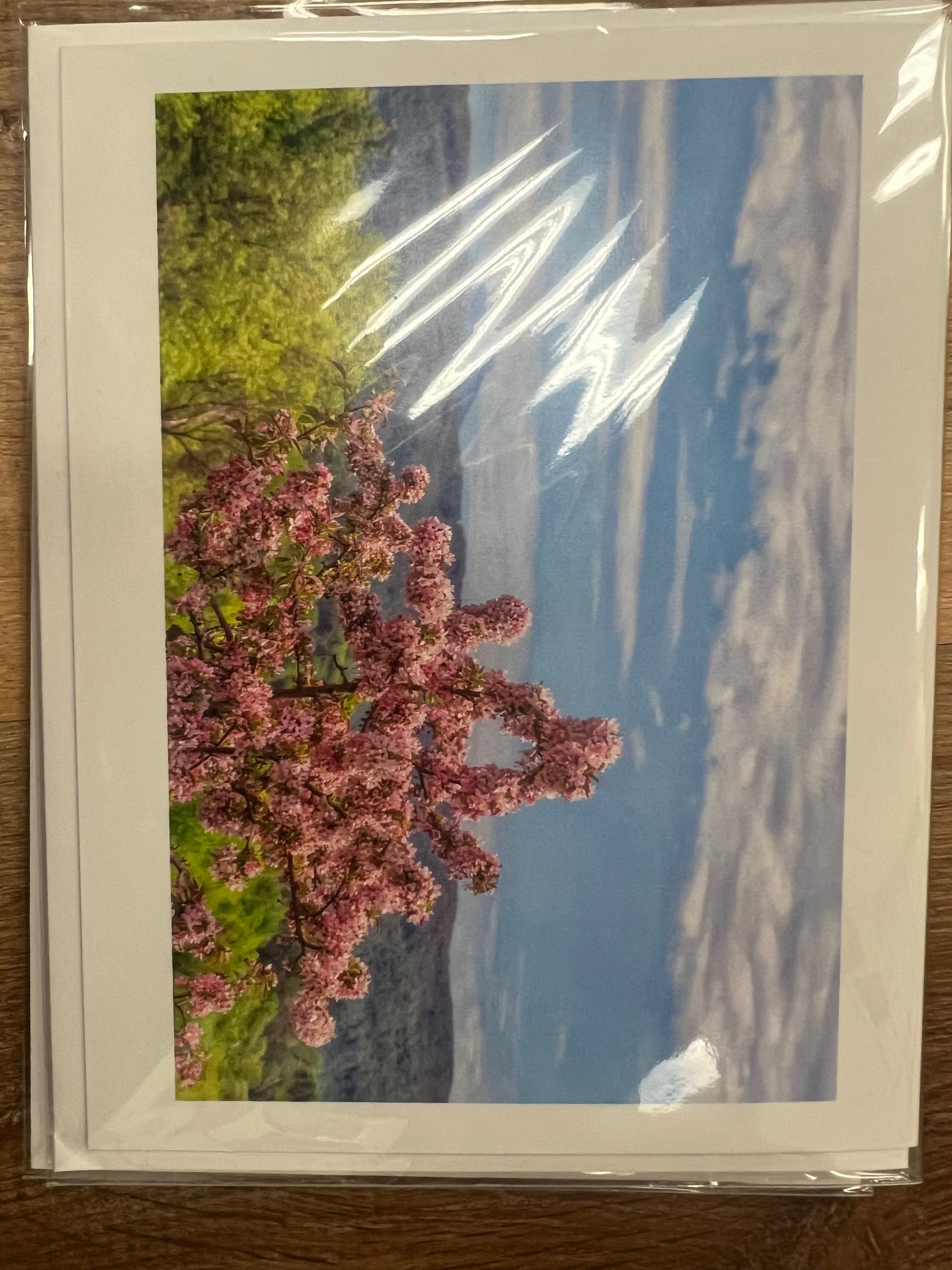 Greeting Cards -Moments By Kate by SidePony Boutique