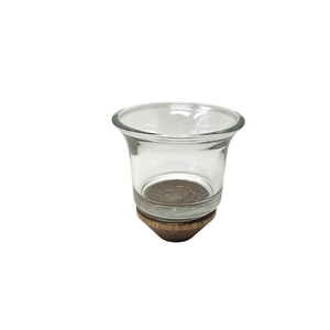 Glass Plant & Candle Holder