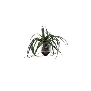 Glass Plant & Candle Holder