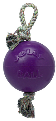 8" Jolly Pets Romp-n-Roll Purple Dog Toy