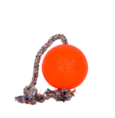 4.5" Jolly Pets Romp-n-Roll Orange Dog Toy