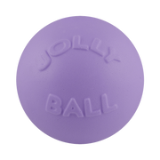 6" Jolly Pets Bounce-n-Play Light Purple Dog Toy