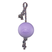 4.5" Jolly Pets Romp-n-Roll Light Purple Dog Toy
