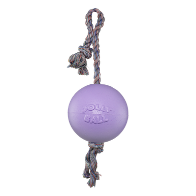 4.5" Jolly Pets Romp-n-Roll Light Purple Dog Toy